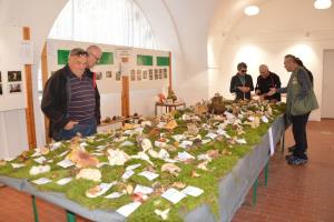 Jesenska razstava gob razkrila bogastvo gozdov 3